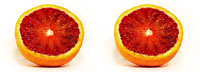 oranges une par une