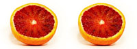 oranges une par une