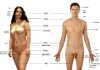 Anatomie du corps humain en anglais débutant