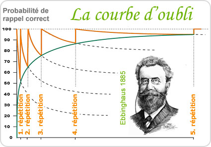 forgetting curve