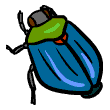 clipart-vocabulary-beetle