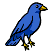 clipart-vocabulary-bird