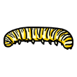 clipart-vocabulary-caterpillar