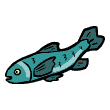 clipart-vocabulary-fish