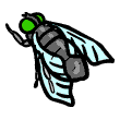 clipart-vocabulary-fly