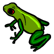clipart-vocabulary-frog