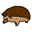 clipart-vocabulary-hedgehog