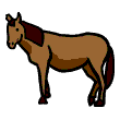 clipart-vocabulary-horse