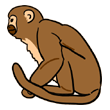 clipart-vocabulary-monkey