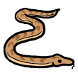 clipart-vocabulary-snake
