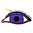 clipart-vocabulary-eyelash