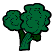 clipart-vocabulary-broccoli
