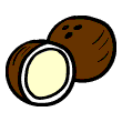 clipart-vocabulary-coconut