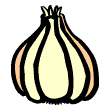 clipart-vocabulary-garlic