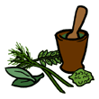 clipart-vocabulary-herbs