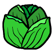 clipart-vocabulary-lettuce