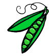 clipart-vocabulary-peas