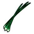 clipart-vocabulary-scallions