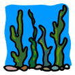 clipart-vocabulary-seaweed