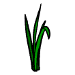 clipart-vocabulary-grass