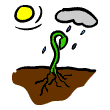 clipart-vocabulary-grow