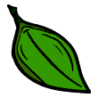 clipart-vocabulary-leaf